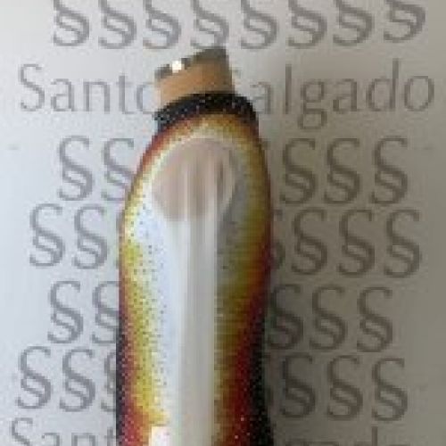 Maillot competición Patinaje Artístico