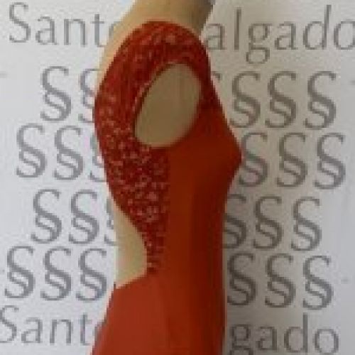 Maillot de Ballet