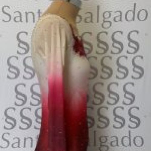 Maillot competición Patinaje Artístico