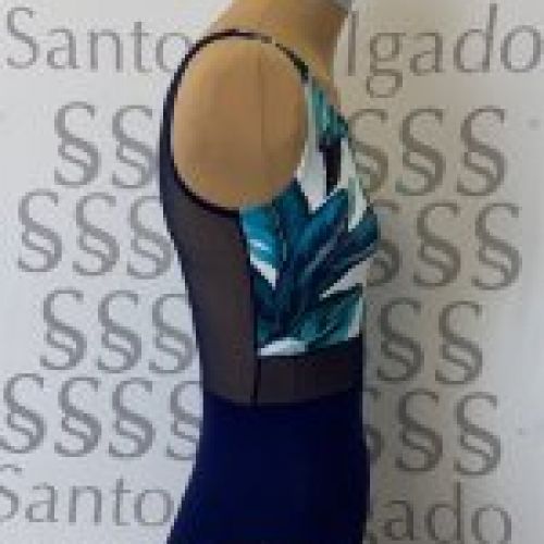Maillot de Ballet