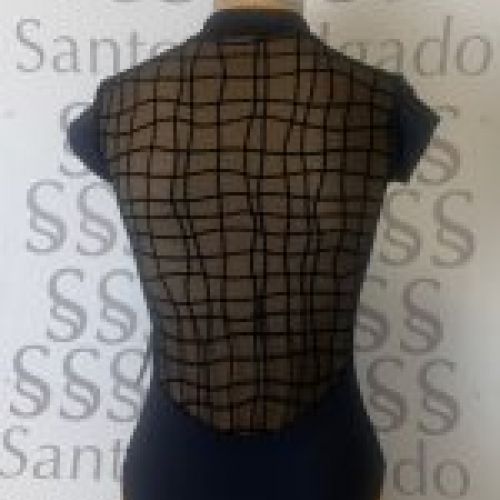 Maillot de Ballet