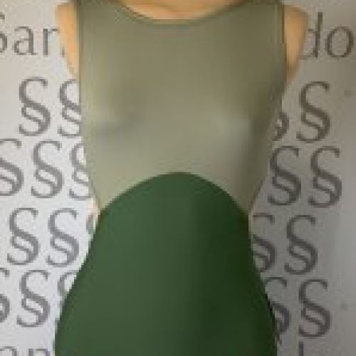 Maillot de Ballet