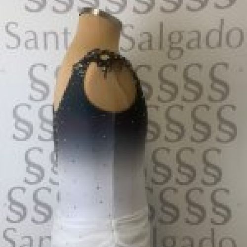 Maillot competición Patinaje Artístico
