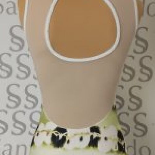Maillot de Ballet