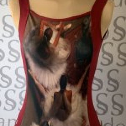 Maillot de Ballet