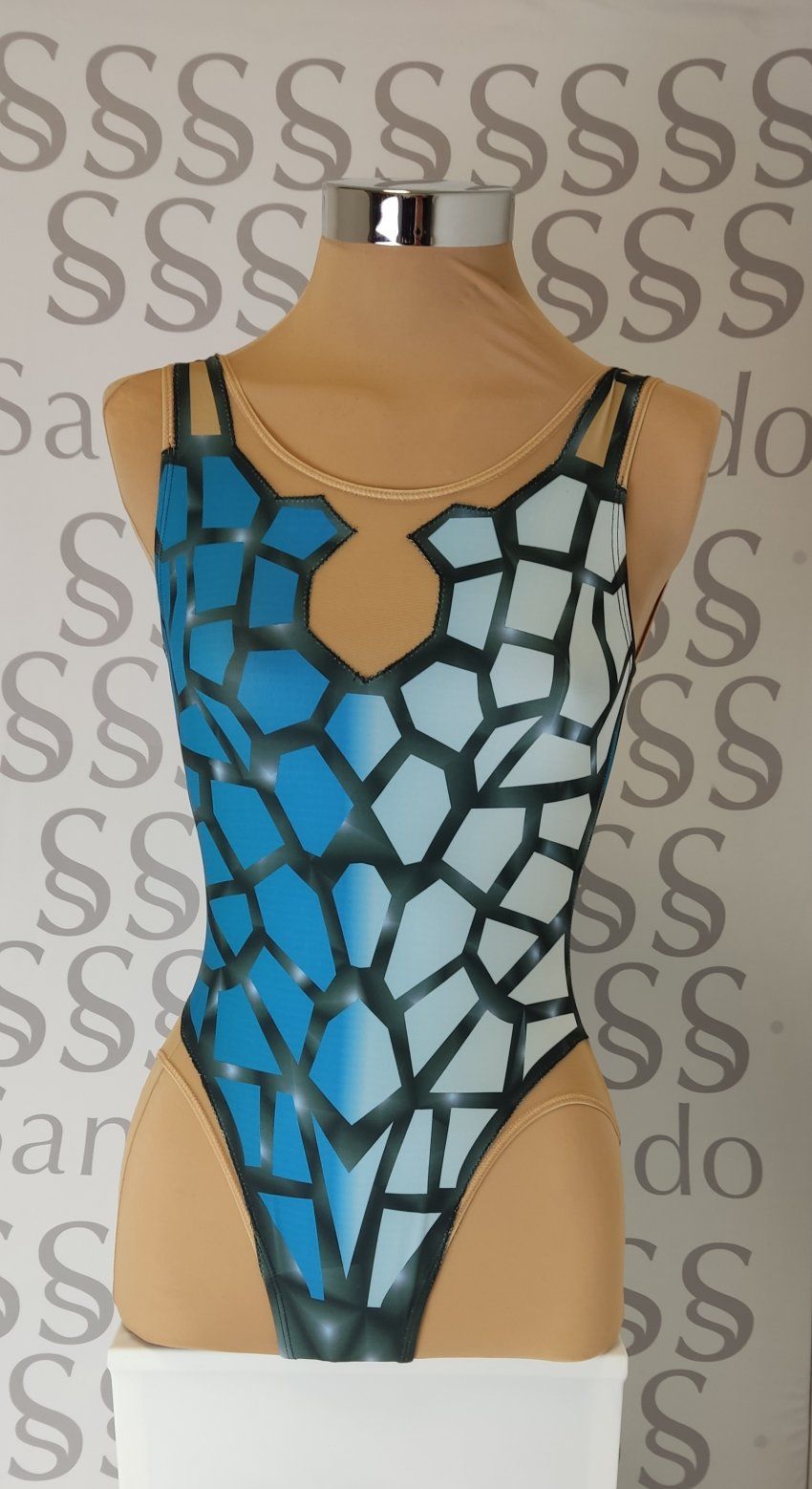 Natación Sincronizada