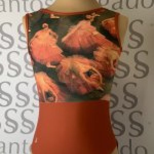 Maillot de Ballet