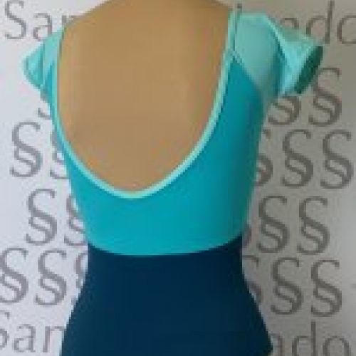 Maillot de Ballet
