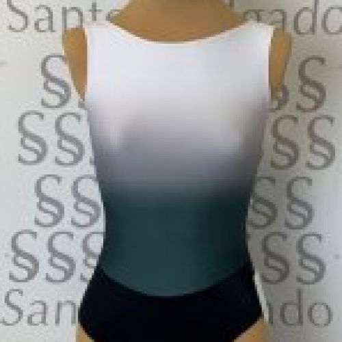 Maillot de Ballet