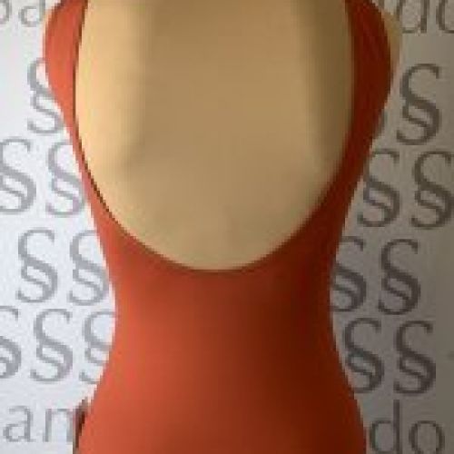 Maillot de Ballet
